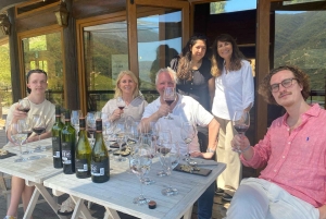 Colchagua-dalen: Privat tur på Ventisquero och Viu Manent vinväg