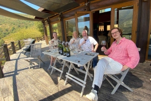 Colchagua-dalen: Privat tur på Ventisquero och Viu Manent vinväg