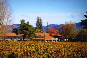 Colchagua-dalen: Privat tur på Ventisquero och Viu Manent vinväg