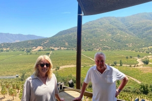 Colchagua-dalen: Privat tur på Ventisquero och Viu Manent vinväg