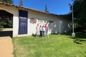 Colchagua-dalen: Privat tur på Ventisquero och Viu Manent vinväg