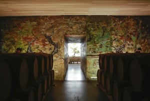 Colchagua: Luksusowe doświadczenie w winnicach VIK i Montes