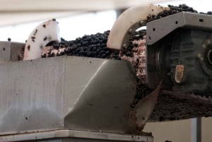 Colchagua: Luksusowe doświadczenie w winnicach VIK i Montes