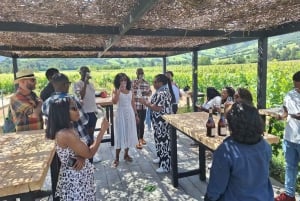 Colchagua: Luksusowe doświadczenie w winnicach VIK i Montes