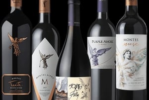 Colchagua: Luksusowe doświadczenie w winnicach VIK i Montes