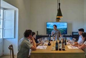 Colchahua Valley: Wappentour