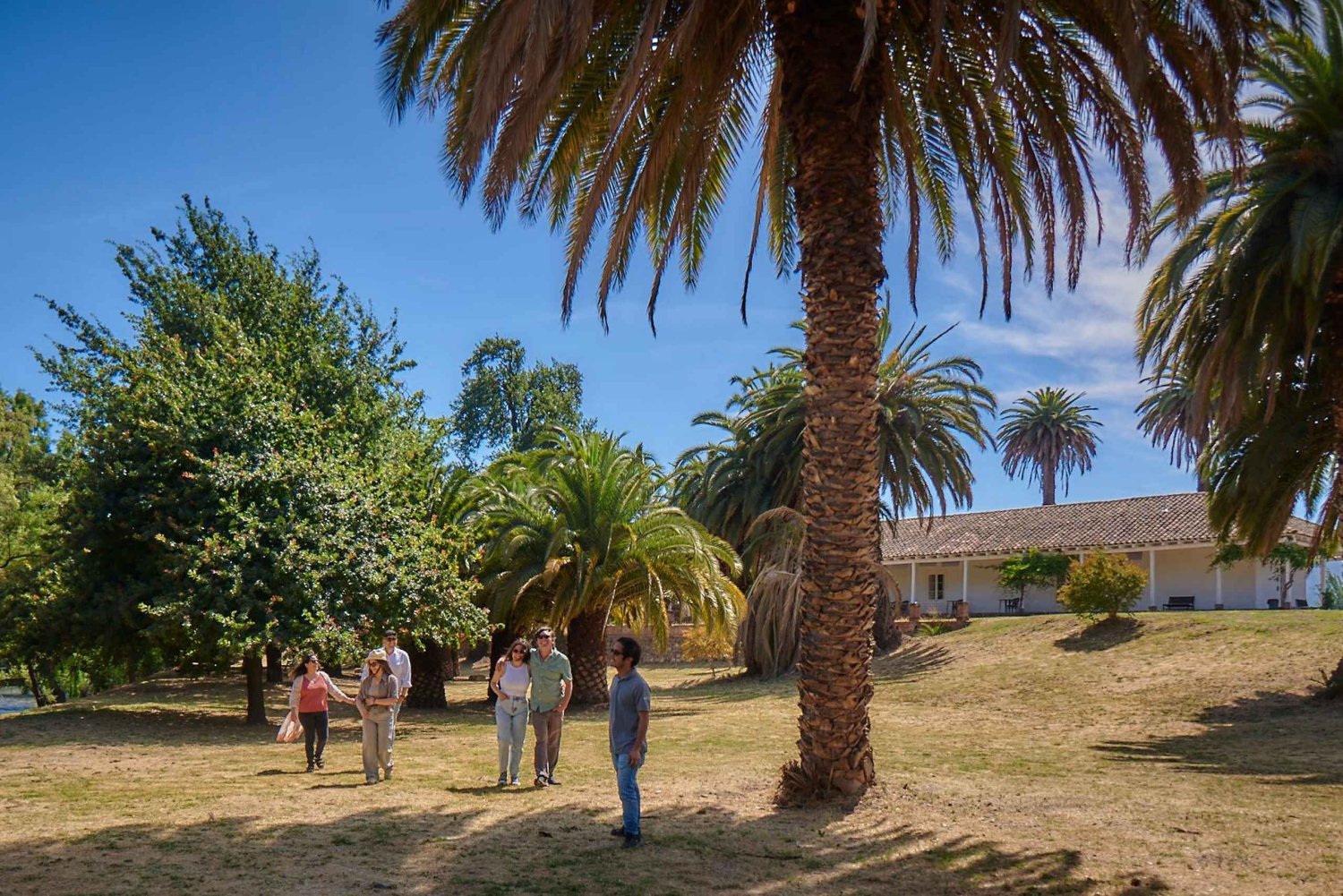 Colchahua Valley: Iconic Tour, Viña Maquis