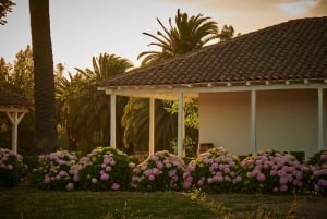 Vale de Colchahua: Excursão Icónica, Viña Maquis