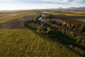 Vale de Colchahua: Excursão Icónica, Viña Maquis