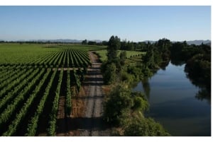 Vale de Colchahua: Excursão Icónica, Viña Maquis