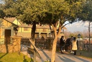 Alyan Family Wines | De zonsondergangtour