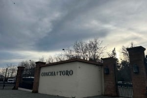 Alyan Family Wines | De zonsondergangtour