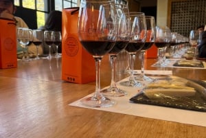 Alyan Family Wines | De zonsondergangtour