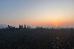 Alyan Family Wines | De zonsondergangtour