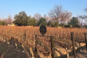 Alyan Family Wines | De zonsondergangtour