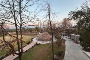 Alyan Family Wines | De zonsondergangtour