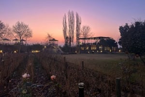 Alyan Family Wines | De zonsondergangtour