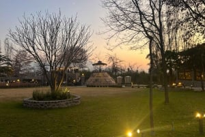 Alyan Family Wines | De zonsondergangtour