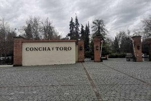 Visite prolongée de Concha y Toro avec 7 dégustations et Lapis Lazuli