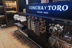 Tour estendido da Concha y Toro com 7 degustações e Lapis Lazuli