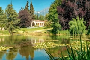 Concha y Toro vingård (Marques Tour)