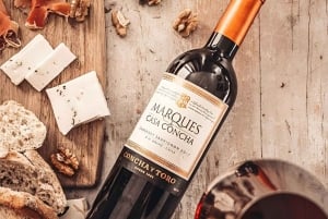 Concha y Toro vingård (Marques Tour)