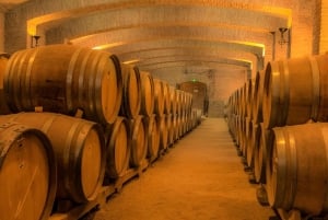 Concha y Toro vingård (Marques Tour)