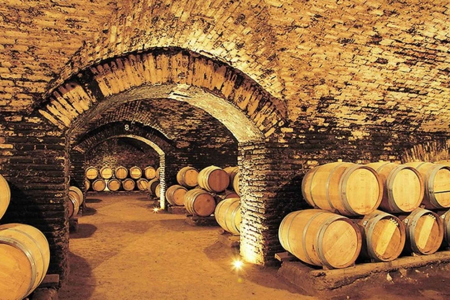 Concha y Toro Vineyard Premium Tour w/transportation