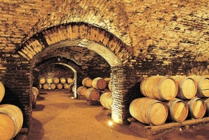 Concha y Toro Vineyard Premium Tour w/transportation