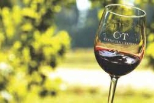 Concha y Toro Vineyard Premium Tour w/transportation