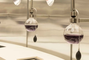 Concha y Toro Vineyard Premium Tour w/transportation