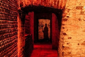 Santiago: Nowa wycieczka po winnicy Concha y Toro