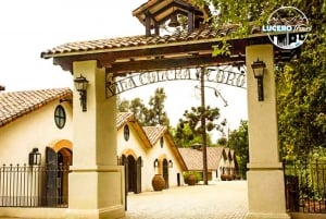 Santiago: Nowa wycieczka po winnicy Concha y Toro