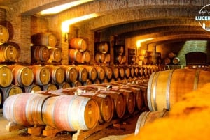 Santiago: Nowa wycieczka po winnicy Concha y Toro