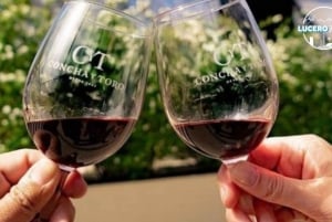 Santiago: Nowa wycieczka po winnicy Concha y Toro