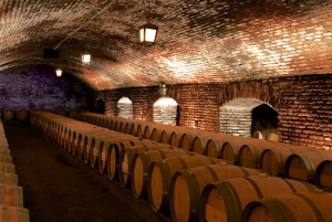 Visita ao vinho Concha y Toro com jantar na adega