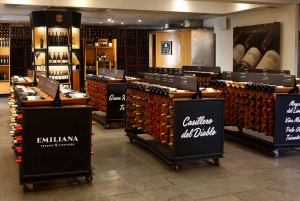 Visita ao vinho Concha y Toro com jantar na adega