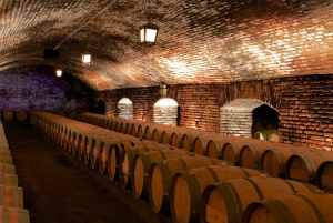 Concha y Toro wijntour met diner in de wijnmakerij