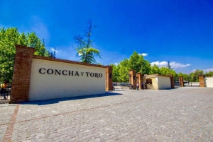 Tour do vinho Concha y toro