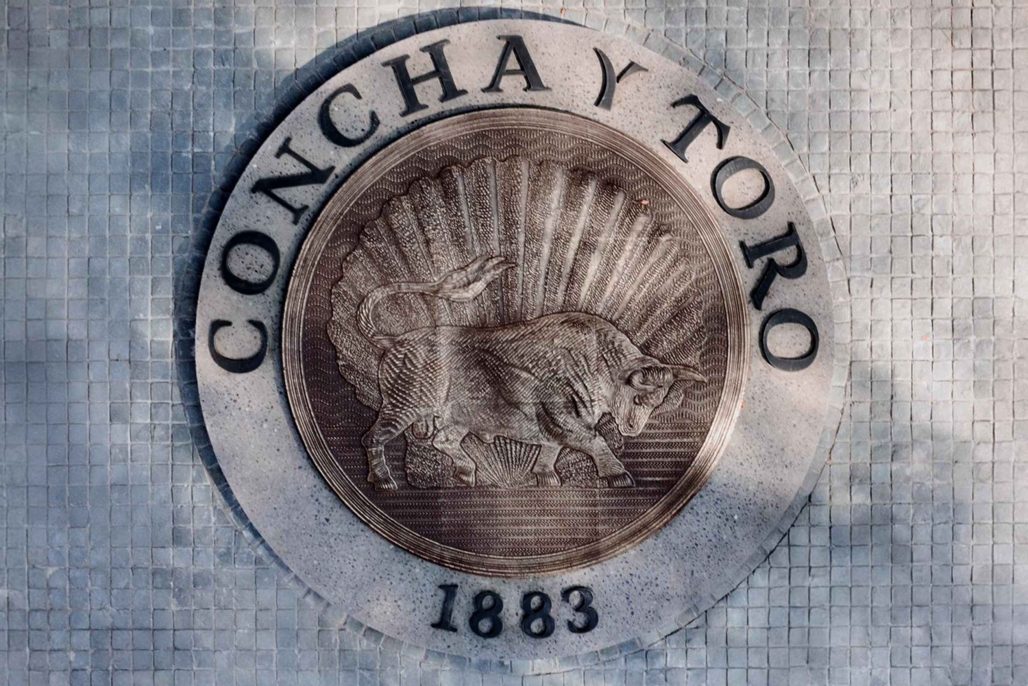 Concha y Toro Winery: Premium Experience at the Wine Center