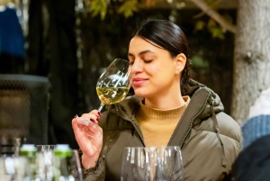 Concha y Toro Winery: Premium Experience at the Wine Center