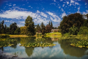 Concha y Toro Winery: Premium Experience at the Wine Center