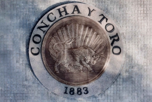 Concha y Toro Winery: Premium Experience at the Wine Center