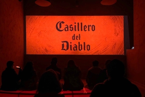 Concha y Toro Winery: Premium Experience at the Wine Center