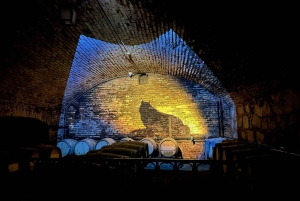 Concha y Toro Winery: Premium Experience at the Wine Center