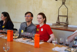 Concha y Toro Winery: Premium Experience at the Wine Center
