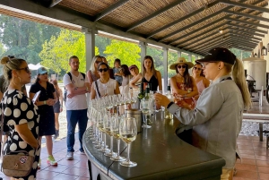 Concha y Toro Winery: Premium Experience at the Wine Center