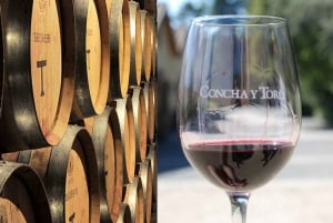 VIÑA CONCHA Y TORO - TOUR : CHILE