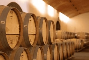 VIÑA CONCHA Y TORO - TOUR : CHILE