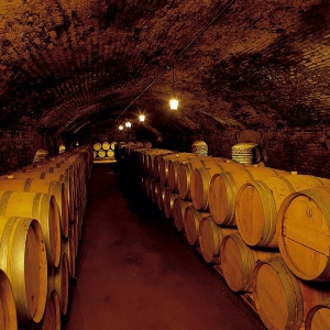 Concha y Toro Winery 